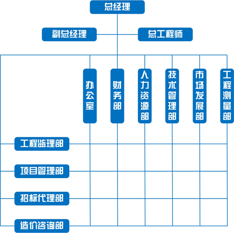 組織架構(gòu)